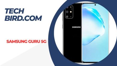 Samsung Guru 5G