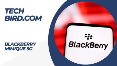 Blackberry Mimique 5G
