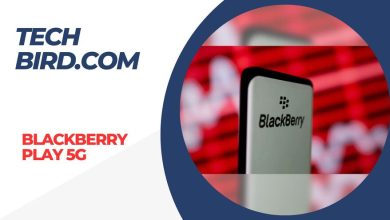 Blackberry Play 5G